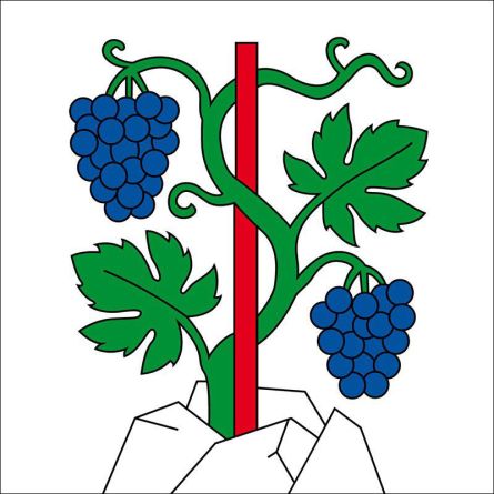 Rebstein flag